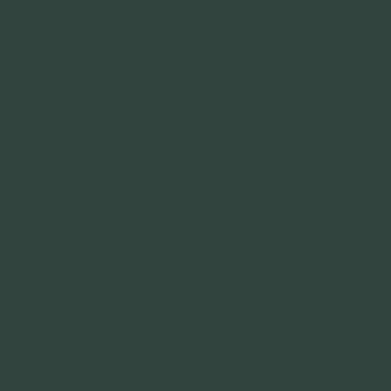 Eclipse ES554 Нефрит