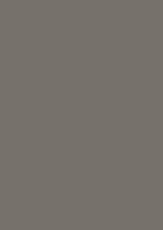0755 SX Warm Grey Dark