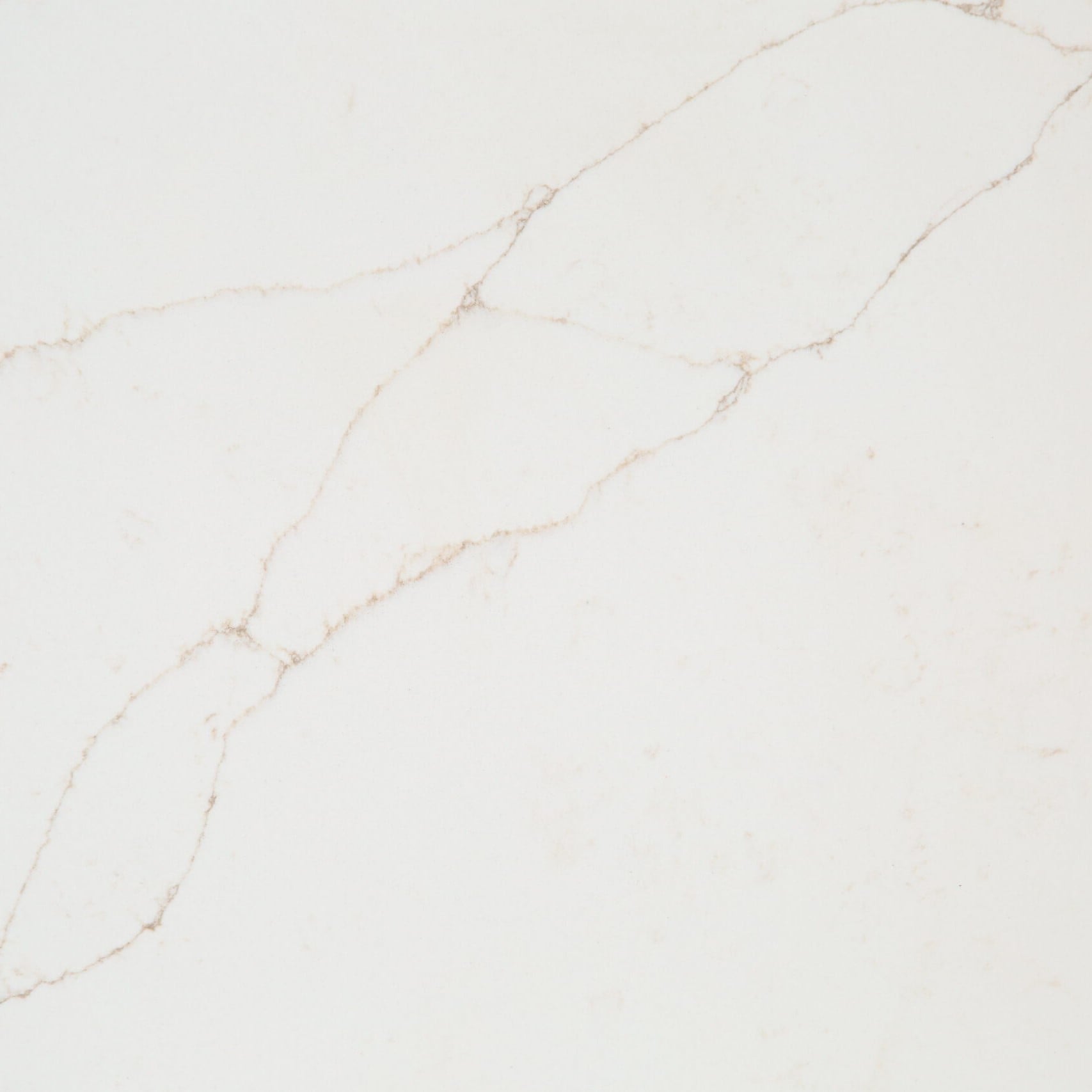WSP Stone WLSY5011 Паутина